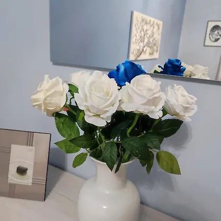 - Sweet - Lovely With Free Wifi Near Pala Alpitour And Olympic Stadium Turin